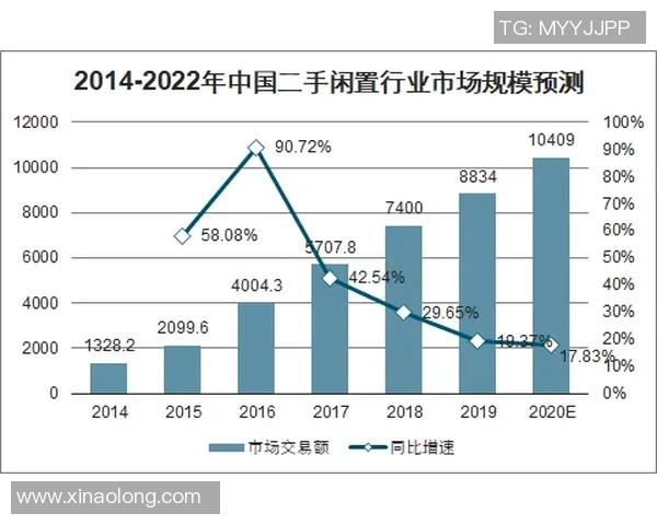 武汉羽毛球队在钻石联赛中的技术表现分析与未来展望